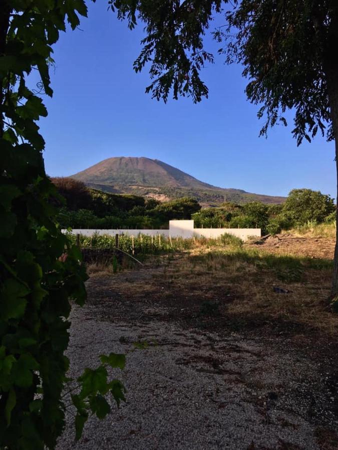 טורה דל גרקו Villa Mazza Al Vesuvio מראה חיצוני תמונה