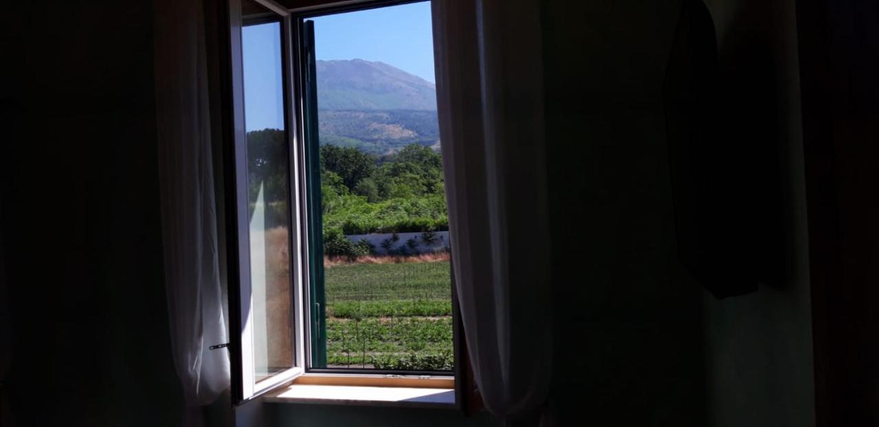 טורה דל גרקו Villa Mazza Al Vesuvio מראה חיצוני תמונה